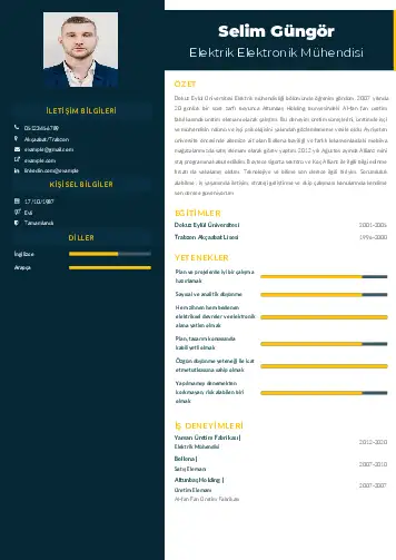 Elektrik Mühendisi CV Örnekleri cv indir
